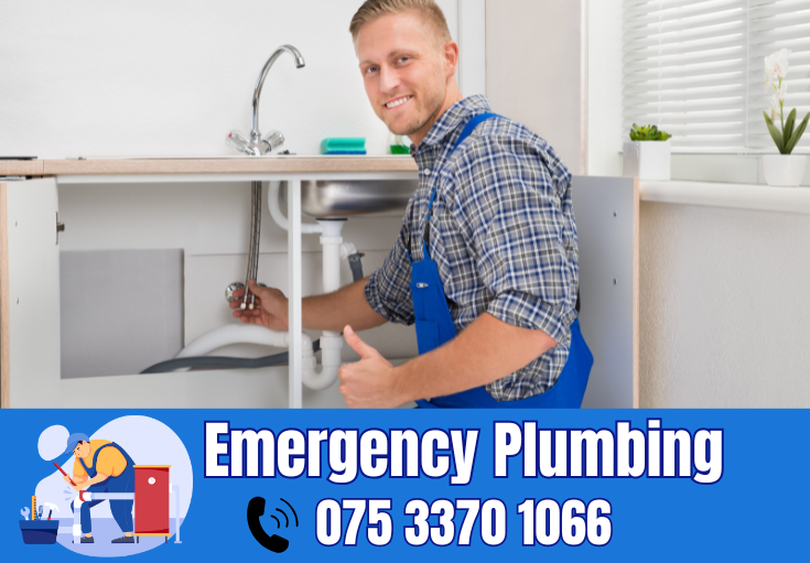  plumber Chestfield