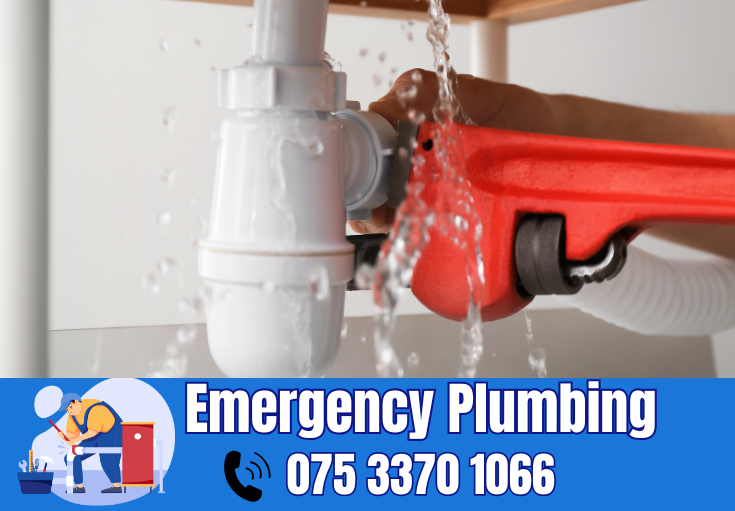  plumber Tankerton