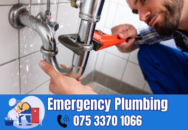  plumber Swalecliffe