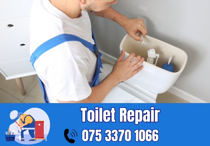 toilet repair Whitstable